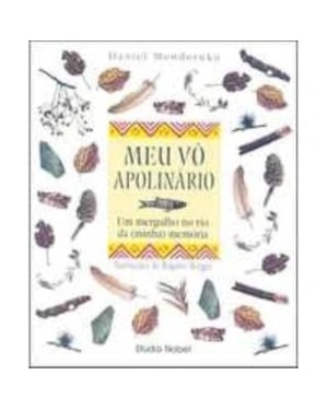 MEU VÔ APOLINÁRIO: UM MERGULHO NO RIO DA (MINHA) MEMÓRIA