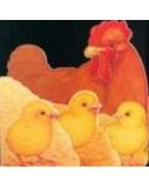 MEUS FILHOTES - PINTINHOS GRACIOSOS - 1ª