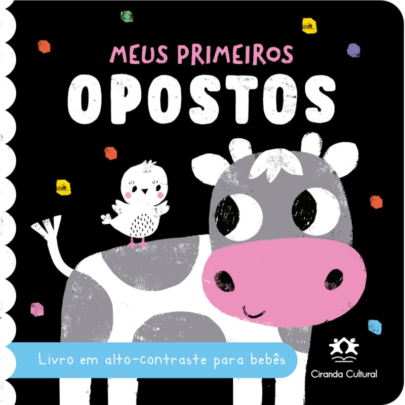 MEUS PRIMEIROS OPOSTOS