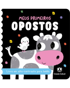 MEUS PRIMEIROS OPOSTOS