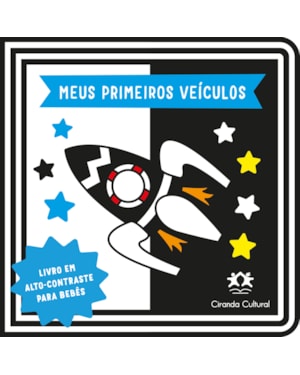 MEUS PRIMEIROS VEÍCULOS