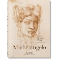 Michelangelo. the graphic work