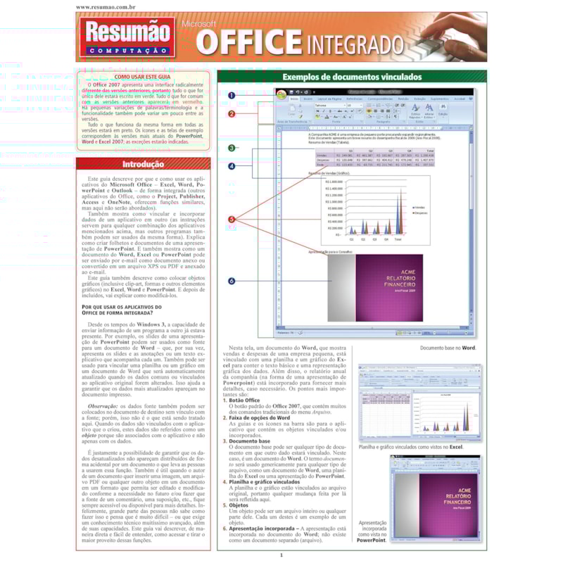 MICROSOFT OFFICE INTEGRADO - 1