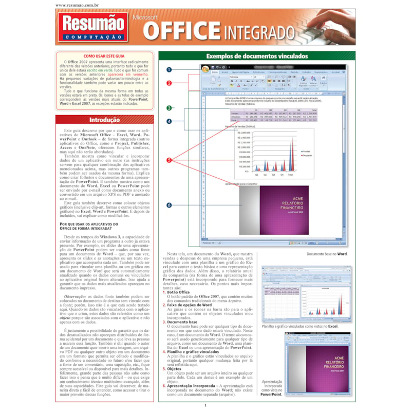MICROSOFT OFFICE INTEGRADO - 1