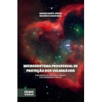 MICROSSISTEMA PROCESSUAL DE PROTEÇÃO DOS VULNERÁVEIS