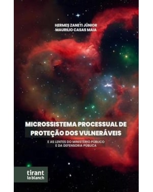 MICROSSISTEMA PROCESSUAL DE PROTEÇÃO DOS VULNERÁVEIS