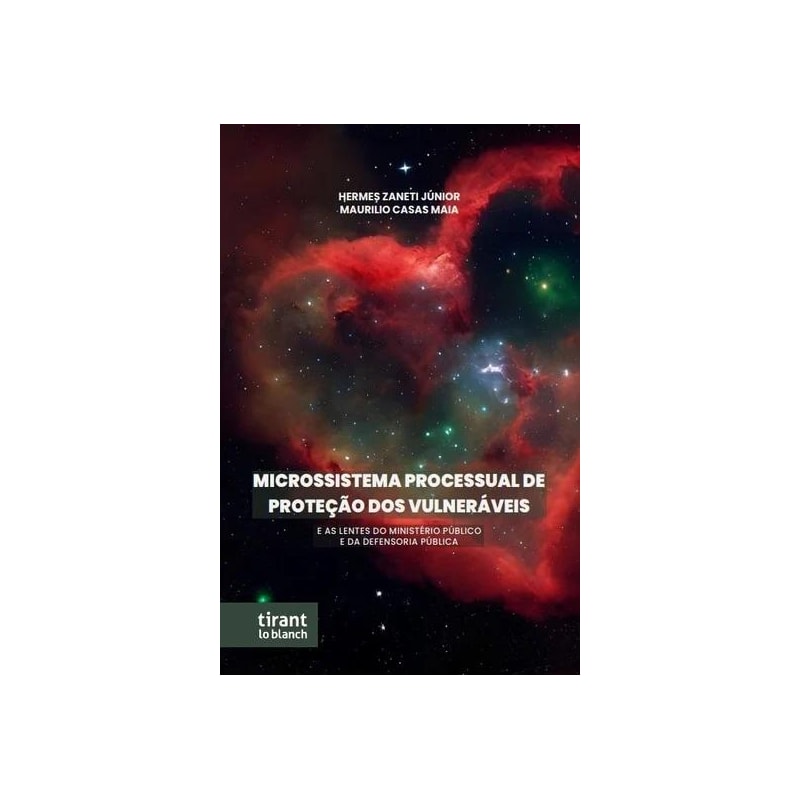MICROSSISTEMA PROCESSUAL DE PROTEÇÃO DOS VULNERÁVEIS