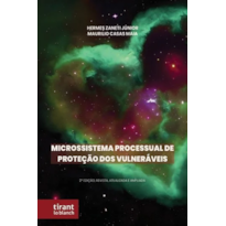 MICROSSISTEMA PROCESSUAL DE PROTEÇÃO DOS VULNERÁVEIS