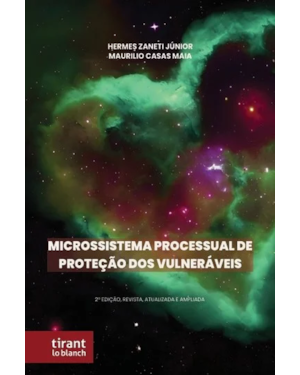 MICROSSISTEMA PROCESSUAL DE PROTEÇÃO DOS VULNERÁVEIS