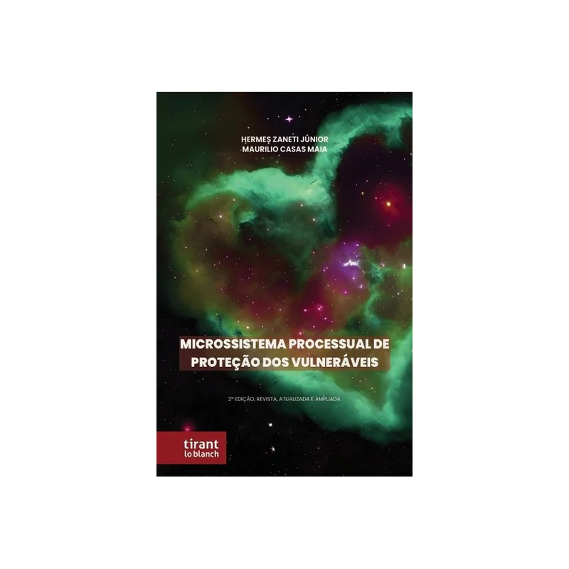 MICROSSISTEMA PROCESSUAL DE PROTEÇÃO DOS VULNERÁVEIS