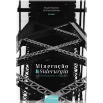 Mineração e siderurgia: aspectos financeiros e tributários