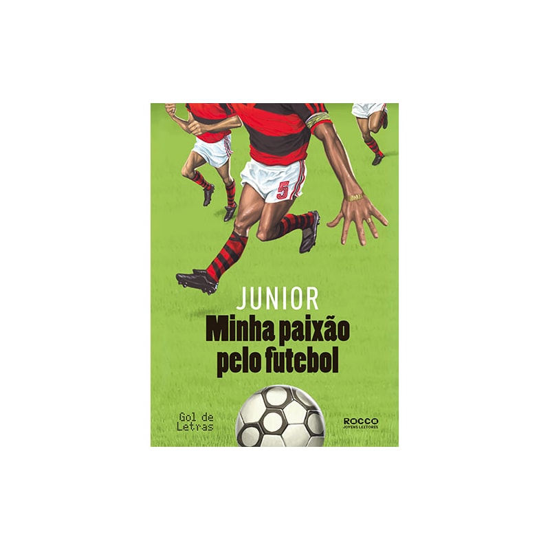 MINHA PAIXÃO PELO FUTEBOL