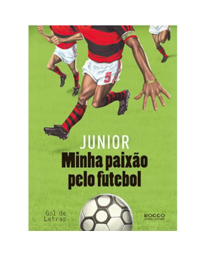 MINHA PAIXÃO PELO FUTEBOL