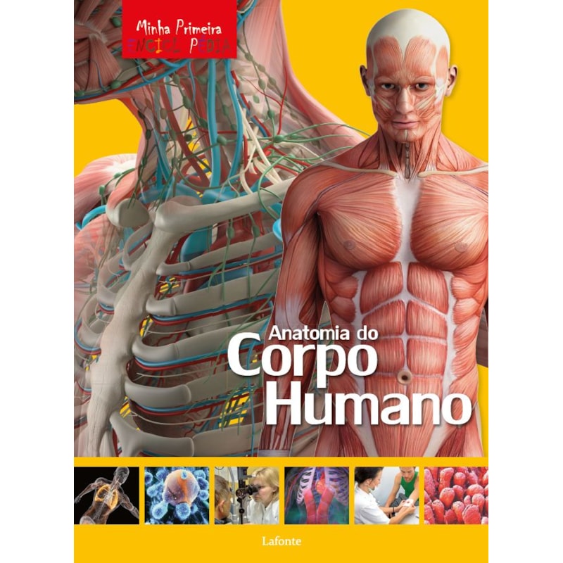 MINHA PRIMEIRA ENCICLOPÉDIA - ANATOMIA DO CORPO HUMANO