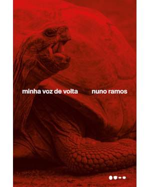 Minha voz de volta