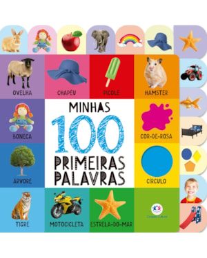 MINHAS 100 PRIMEIRAS PALAVRAS