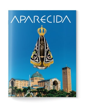 MINILIVRO APARECIDA EM MINHA VIDA