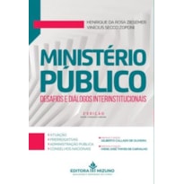 MINISTERIO PUBLICO - DESAFIOS E DIALOGOS INTERINSTITUCIONAIS