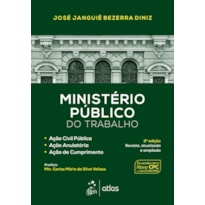 MINISTÉRIO PÚBLICO DO TRABALHO-AÇÃO CIVIL PÚBLICA, AÇÃO ANULATÓRIA, AÇÃO CUMPRIMENTO- 2ª EDIÇÃO 2017