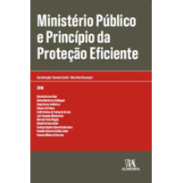 Ministério Público e princípio da proteção eficiente Ministério Público e princípio da proteção eficiente
