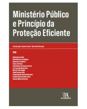 Ministério Público e princípio da proteção eficiente