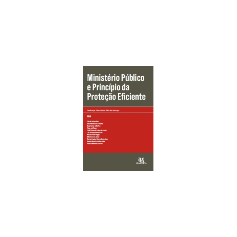 Ministério Público e princípio da proteção eficiente