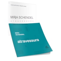 MIRA SCHENDEL: ATRAVESSURA