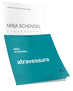 Mira schendel: atravessura