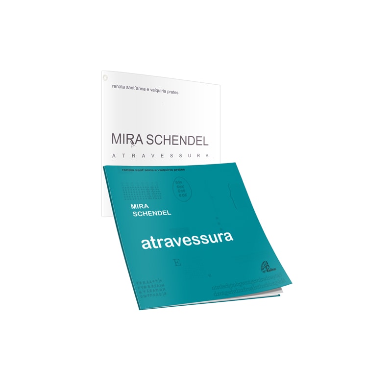 MIRA SCHENDEL: ATRAVESSURA