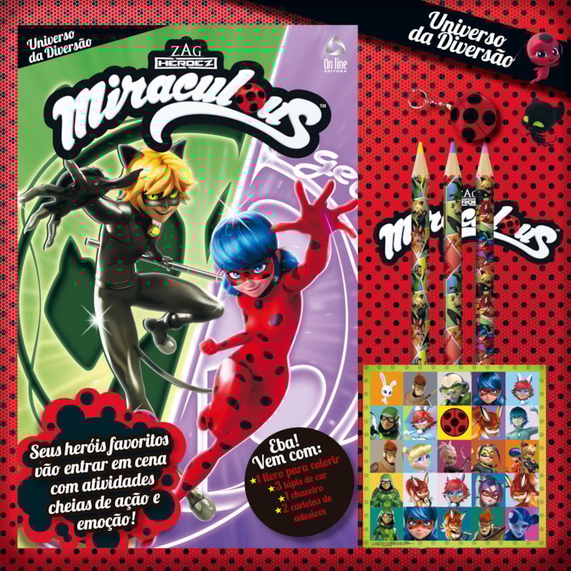 MIRACULOUS LADYBUG UNIVERSO DA DIVERSÃO