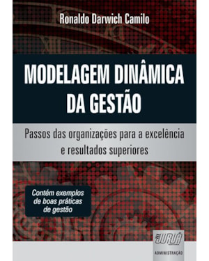 MODELAGEM DINÂMICA DA GESTÃO - PASSOS DAS ORGANIZAÇÕES PARA A EXCELÊNCIA E RESULTADOS SUPERIORES - CONTÉM EXEMPLOS DE BOAS PRÁTICAS DE GESTÃO