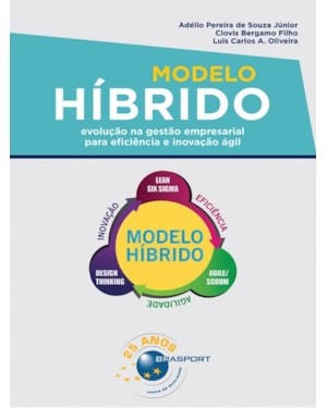 MODELO HÍBRIDO