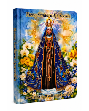 Momentos de fé - Nossa Senhora Aparecida: livro de anotações e orações
