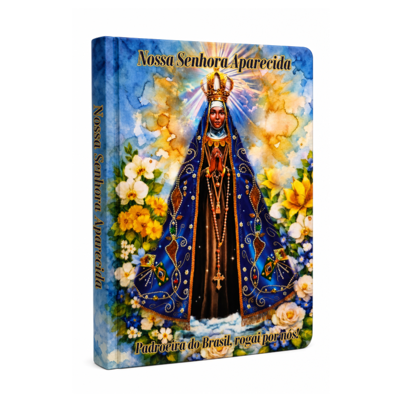 Momentos de fé - Nossa Senhora Aparecida: livro de anotações e orações