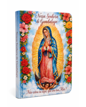 Momentos de fé - Nossa Senhora de Guadalupe: livro de anotações e orações