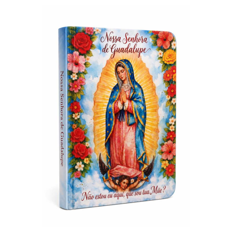 Momentos de fé - Nossa Senhora de Guadalupe: livro de anotações e orações