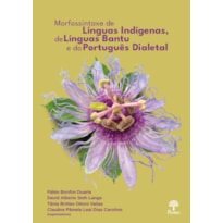 MORFOSSINTAXE DE LÍNGUAS INDÍGENAS, DE LÍNGUAS BANTU E DO PORTUGUÊS DIALETAL