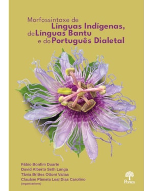 MORFOSSINTAXE DE LÍNGUAS INDÍGENAS, DE LÍNGUAS BANTU E DO PORTUGUÊS DIALETAL