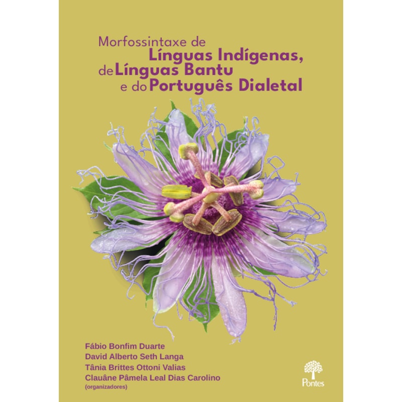 MORFOSSINTAXE DE LÍNGUAS INDÍGENAS, DE LÍNGUAS BANTU E DO PORTUGUÊS DIALETAL