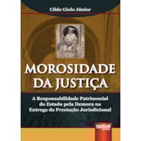 MOROSIDADE DA JUSTIÇA - A RESPONSABILIDADE PATRIMONIAL DO ESTADO PELA DEMORA NA ENTREGA DA PRESTAÇÃO JURISDICIONAL