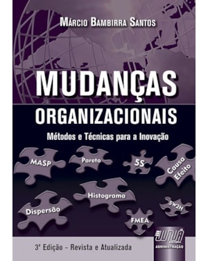 MUDANÇAS ORGANIZACIONAIS - MÉTODOS E TÉCNICAS PARA A INOVAÇÃO