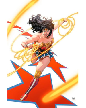 Mulher-maravilha/flash 01