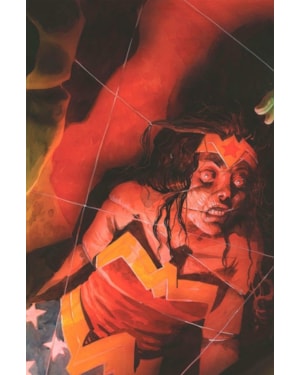 Mulher-Maravilha/Flash 17