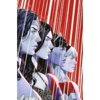 Mulher-Maravilha/Flash (2025) 04