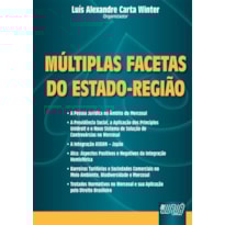 MÚLTIPLAS FACETAS DO ESTADO-REGIÃO