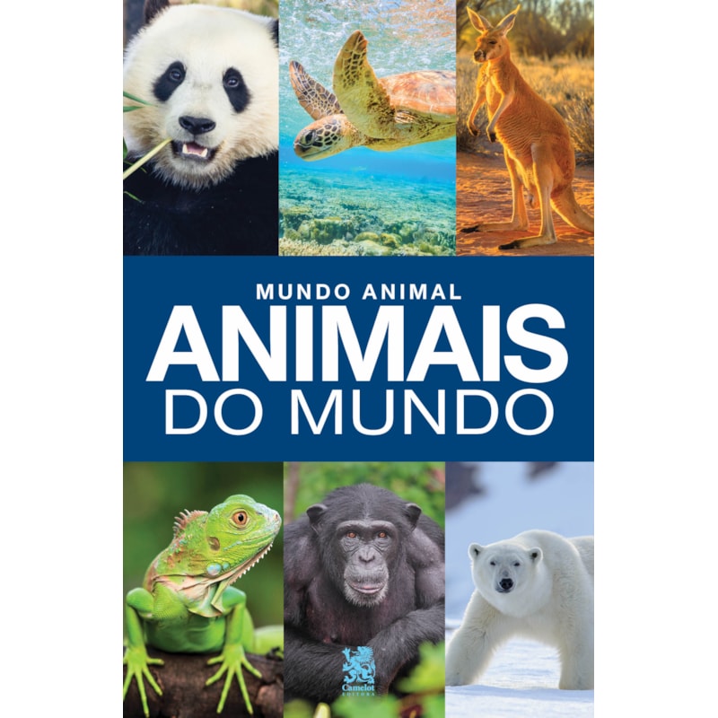 image_44a7e3d8-6a3a-46ca-b291-75bf7b4a3e1e