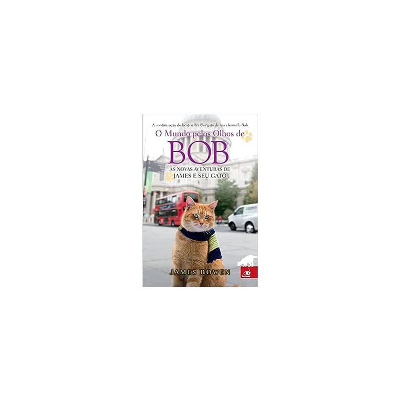 MUNDO PELOS OLHOS DE BOB, O - 1º