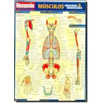 MUSCULOS: ORIGENS & INSERCOES - RESUMAO - 1