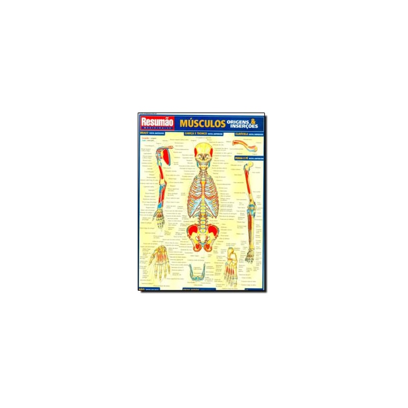 MUSCULOS: ORIGENS & INSERCOES - RESUMAO - 1