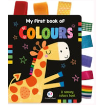 MY FIRST BOOK OF COLOURS